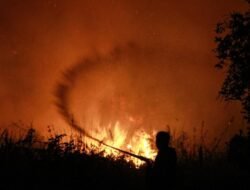 Dukungan Internasional untuk Penanganan Kebakaran Hutan di Indonesia