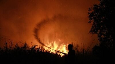 Dukungan Internasional untuk Penanganan Kebakaran Hutan di Indonesia
