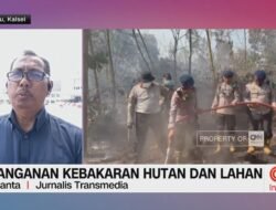 Kondisi Terkini Penanganan Kebakaran Hutan dan Lahan di Banjarbaru