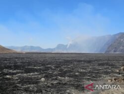 Penyelidikan Dugaan Pidana Karhutla di Gunung Bromo