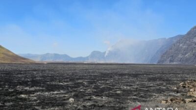 Penyelidikan Dugaan Pidana Karhutla di Gunung Bromo Penyelidikan Dugaan Pidana Karhutla di Gunung Bromo