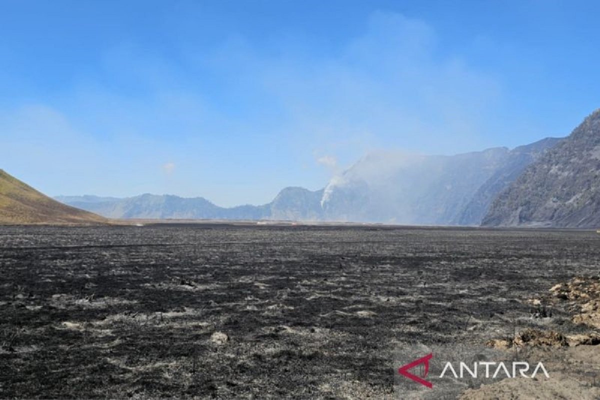 Penyelidikan Dugaan Pidana Karhutla di Gunung Bromo Penyelidikan Dugaan Pidana Karhutla di Gunung Bromo