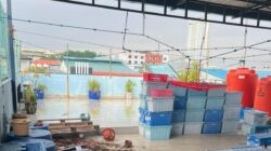 Pembunuhan Tragis di Batam: Motif Emosional Seorang Asisten Rumah Tangga