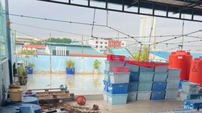 Pembunuhan Tragis di Batam: Motif Emosional Seorang Asisten Rumah Tangga Pembunuhan Tragis di Batam: Motif Emosional Seorang Asisten Rumah Tangga