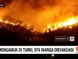 Kebakaran Hebat Melanda Provinsi Mugla, Turki