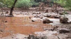 Banjir Bandang Terjang Grand Canyon, 20 Orang Masih Hilang