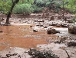 Banjir Bandang Terjang Grand Canyon, 20 Orang Masih Hilang