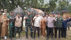 Membangun Harmoni Manusia dan Gajah di Way Kambas