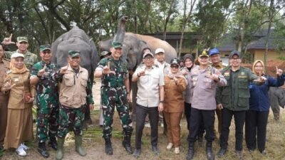 Membangun Harmoni Manusia dan Gajah di Way Kambas Membangun Harmoni Manusia dan Gajah di Way Kambas