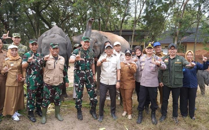 Membangun Harmoni Manusia dan Gajah di Way Kambas Membangun Harmoni Manusia dan Gajah di Way Kambas