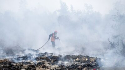 Pentingnya Perlindungan Satwa di Tengah Ancaman Karhutla