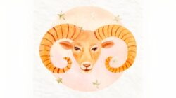Pengakuan Kerja Keras Aries di Dunia Karier