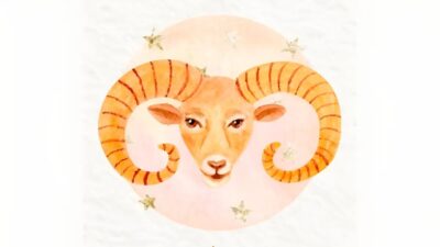 Pengakuan Kerja Keras Aries di Dunia Karier