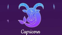Perkembangan Karier Capricorn: Harapan di Balik Kerja Keras