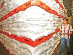 Keamanan Produksi Pangan Nasional Menghadapi El Nino