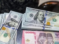 Meningkatnya Minat Terhadap Produk Perlindungan Berbasis Dolar AS