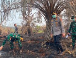 Pencegahan Karhutla di Riau Pasca Kebakaran Lahan