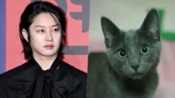 Selamat Tinggal Heebum: Kenangan Bersama Kim Heechul