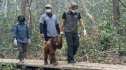 Dampak Anggaran Kebencanaan yang Lebih Kecil dibanding Program Makan Bergizi Gratis