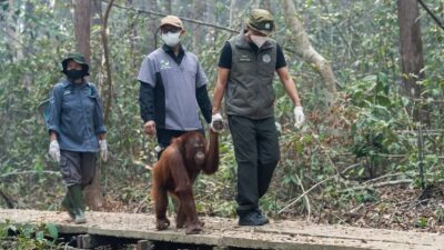 Dampak Anggaran Kebencanaan yang Lebih Kecil dibanding Program Makan Bergizi Gratis