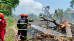 Upaya Pemkot Pangkalpinang Cegah Karhutla
