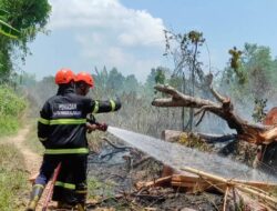 Upaya Pemkot Pangkalpinang Cegah Karhutla