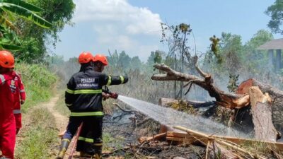 Upaya Pemkot Pangkalpinang Cegah Karhutla