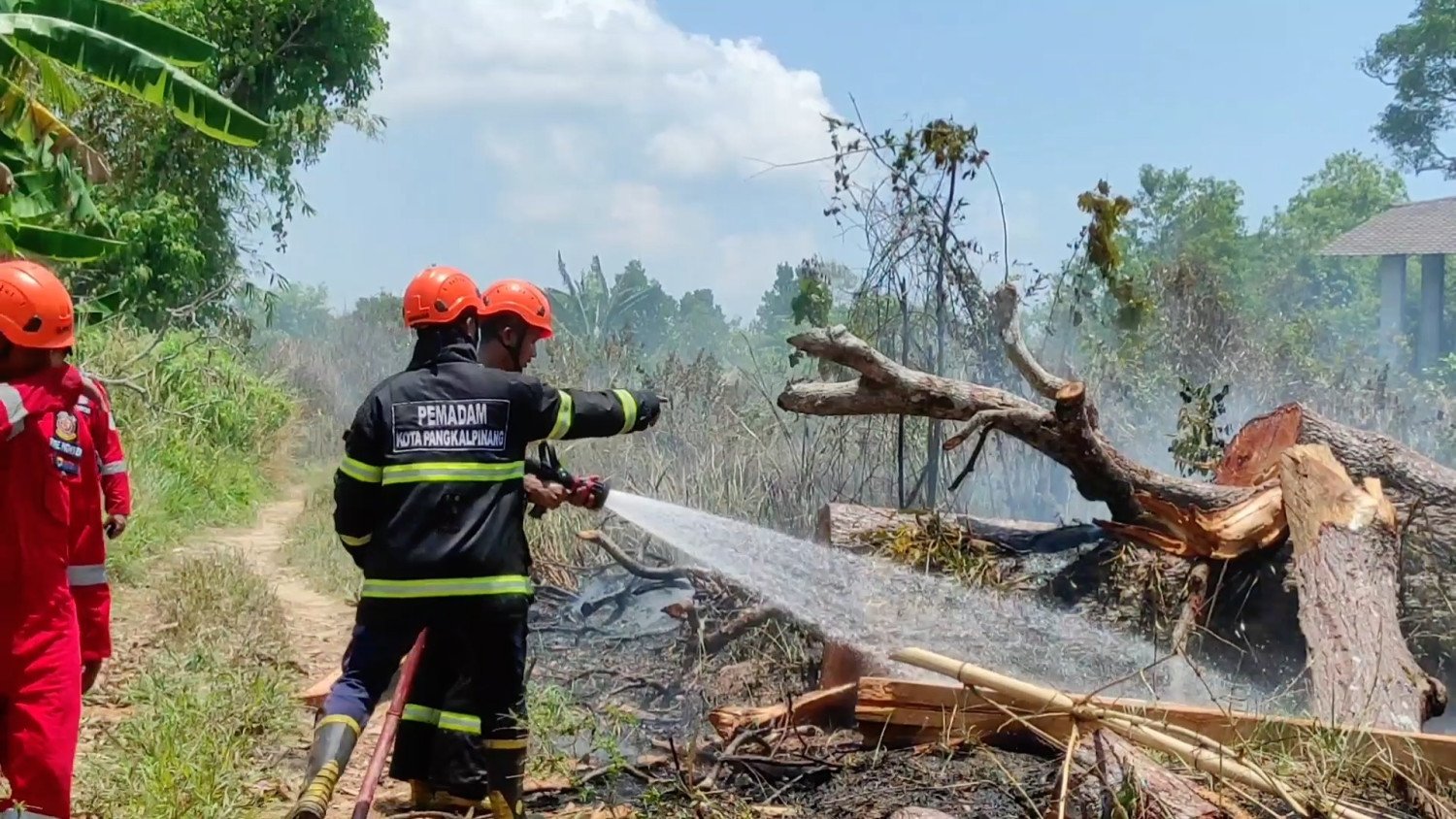 Upaya Pemkot Pangkalpinang Cegah Karhutla