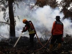 Upaya Pemadaman Kebakaran Hutan dan Lahan di Enam Provinsi
