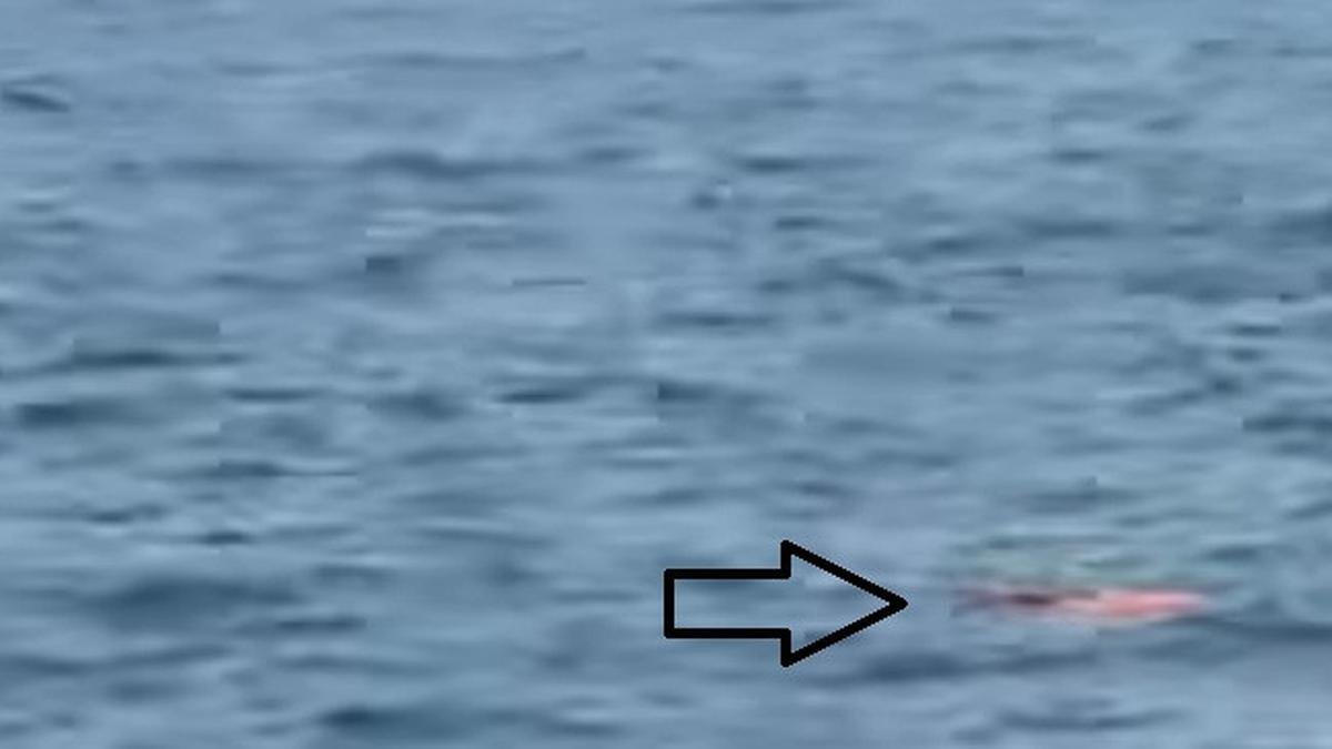 Pencarian Jurnalis Hilang Kontak Di Selat Sunda