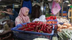 Kenaikan Harga Cabai Rawit di Jakarta dan Faktor Penyebabnya