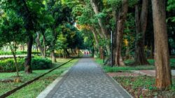 Malam Akhir Pekan di Taman Jakarta: Pilihan Menyenangkan di Ruang Terbuka