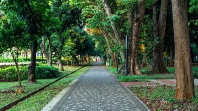 Malam Akhir Pekan di Taman Jakarta: Pilihan Menyenangkan di Ruang Terbuka