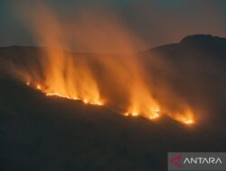 Tindakan Penutupan Akses Bromo Terkait Kebakaran Hutan