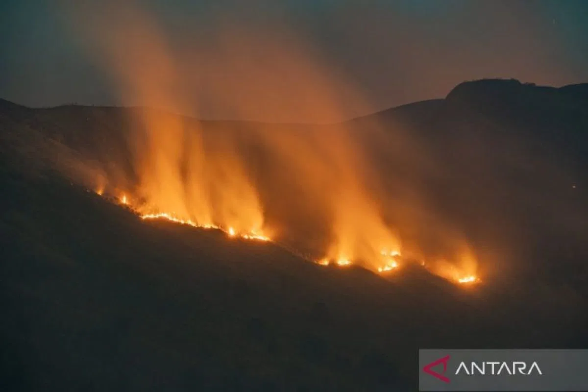 Tindakan Penutupan Akses Bromo Terkait Kebakaran Hutan
