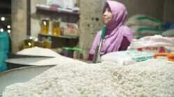 Pemerintah Jamin Stok Beras Cukup di Tengah Tantangan Musim Kemarau