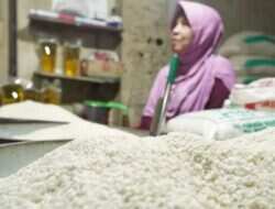 Pemerintah Jamin Stok Beras Cukup di Tengah Tantangan Musim Kemarau