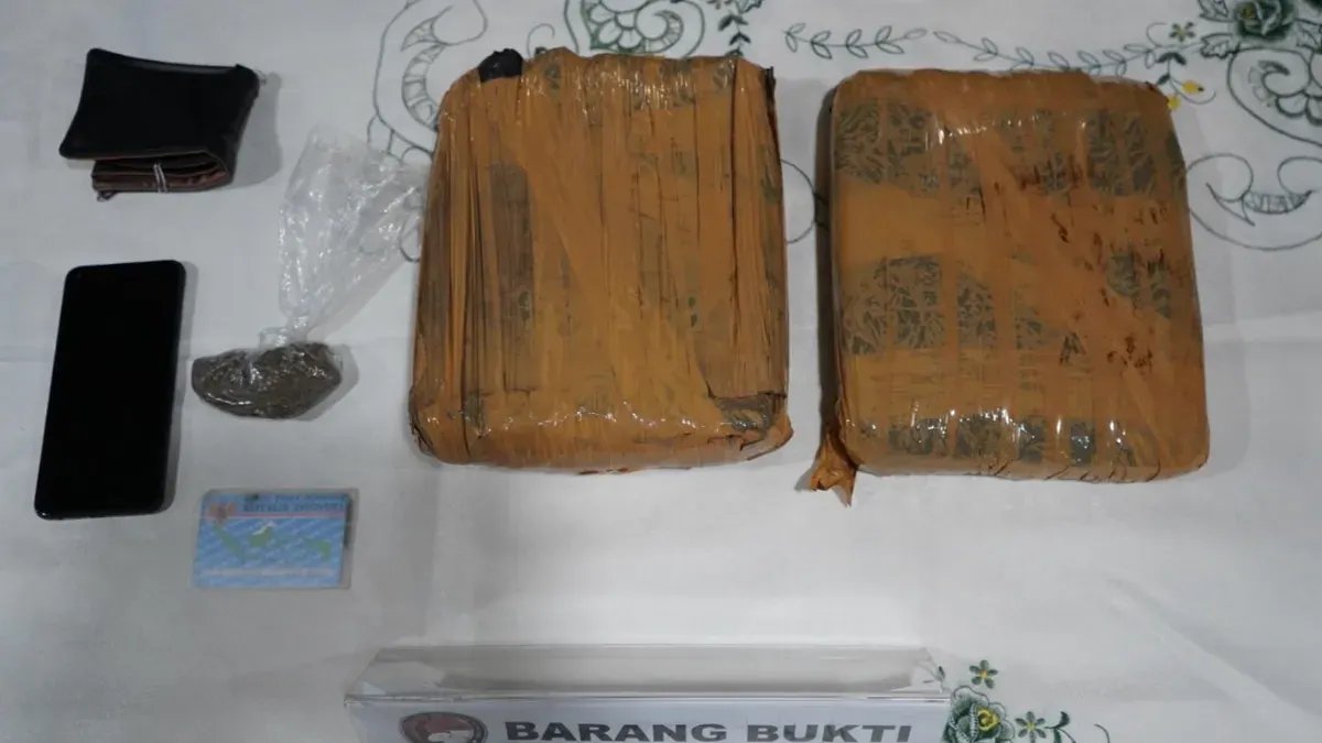 Penangkapan Pengedar Ganja dengan Modus Baru di Jakarta Timur Upaya Penanggulangan Narkoba di Jakarta Timur