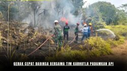 Gerak Cepat Babinsa Bersama Tim Karhutla Padamkan Api