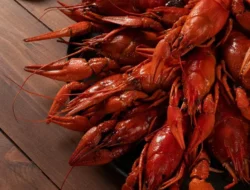 Petugas memastikan seluruh benih bening lobster tersebut telah diamankan untuk kepentingan proses penyidikan lebih lanjut