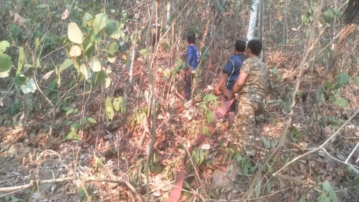 Kebakaran Perkebunan di Bukit Durian Meluas, Anggota Koramil 1505-05/Sofifi Bantu Pemadaman