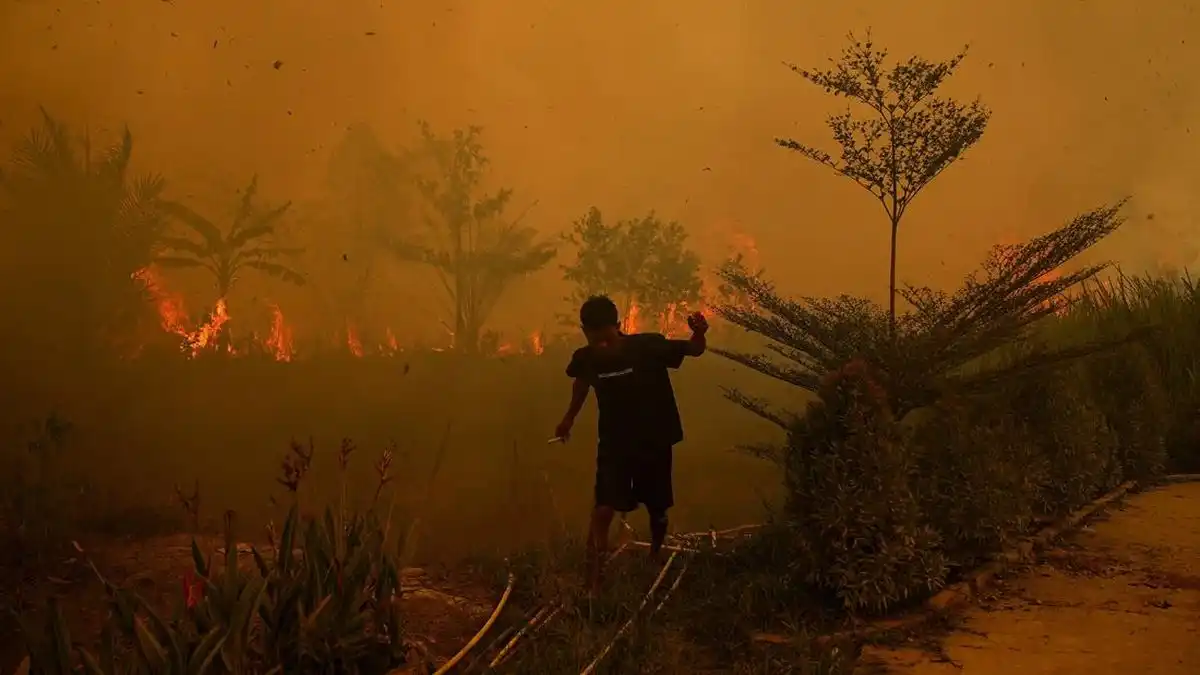 Hotspot Karhutla Naik di Kalteng dan Sumsel, Pemerintah Perkuat Pemantauan