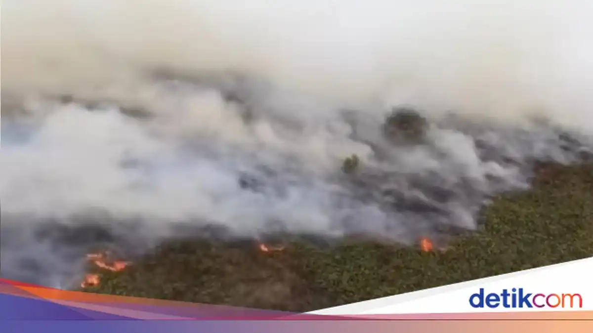 Kebakaran masih terjadi sepanjang Oktober