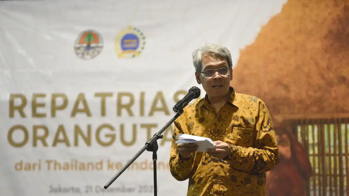 Satyawan Pudyatmoko Dipilih Memimpin Badan Gambut dan Mangrove Nasional