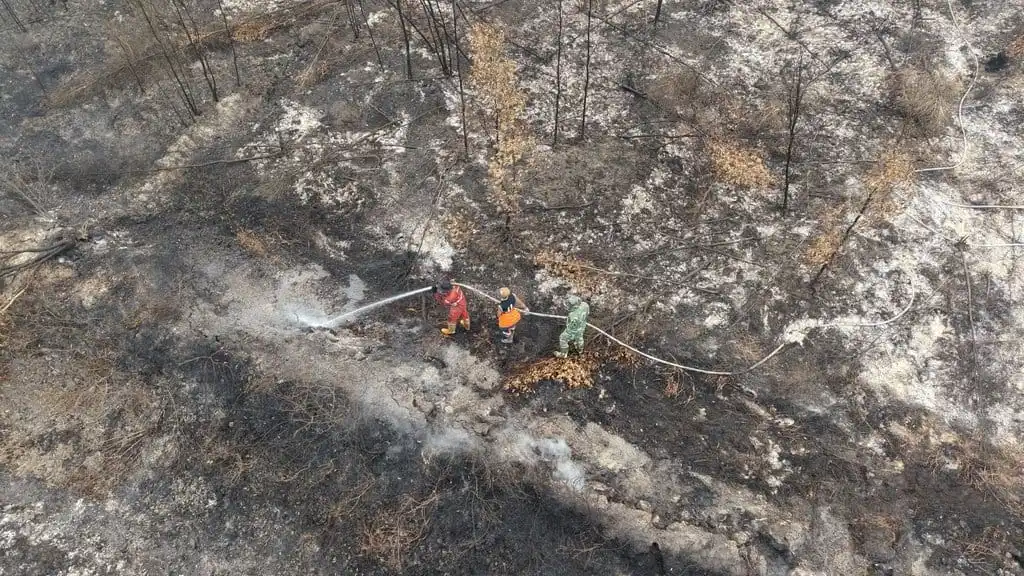 Hotspot Sumatra Selatan Capai 1.917 Titik, Gambut OKI Jadi Wilayah Terparah