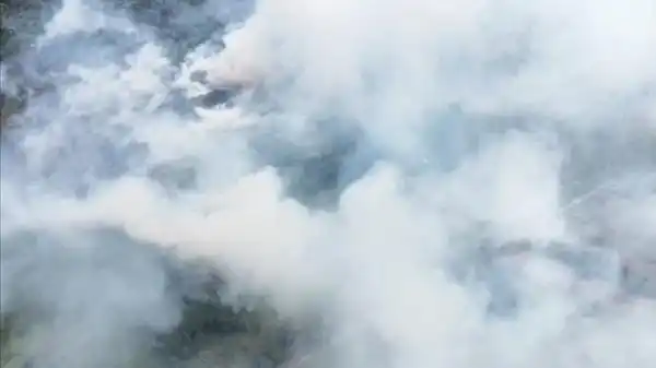 Penanganan Karhutla di Enam Provinsi Berpacu Setelah Api Meluas di Tanjung Puting