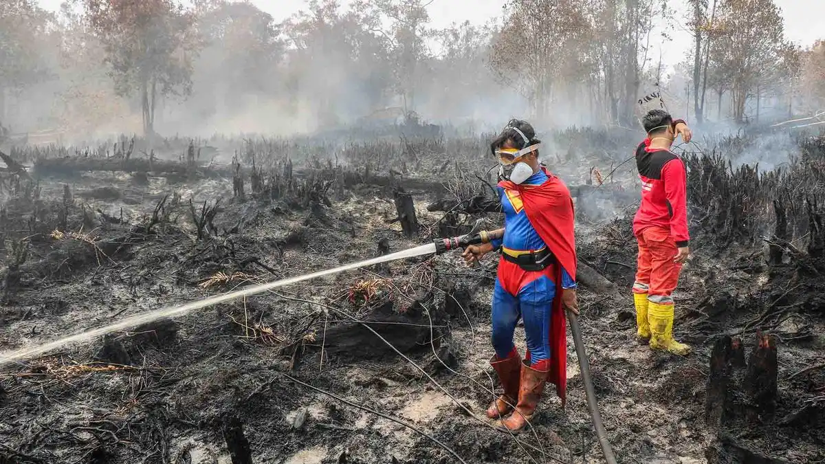 Pemerintah Kerahkan Berbagai Unsur Tangani Karhutla, Puluhan Tersangka dan 68 Perusahaan Diproses