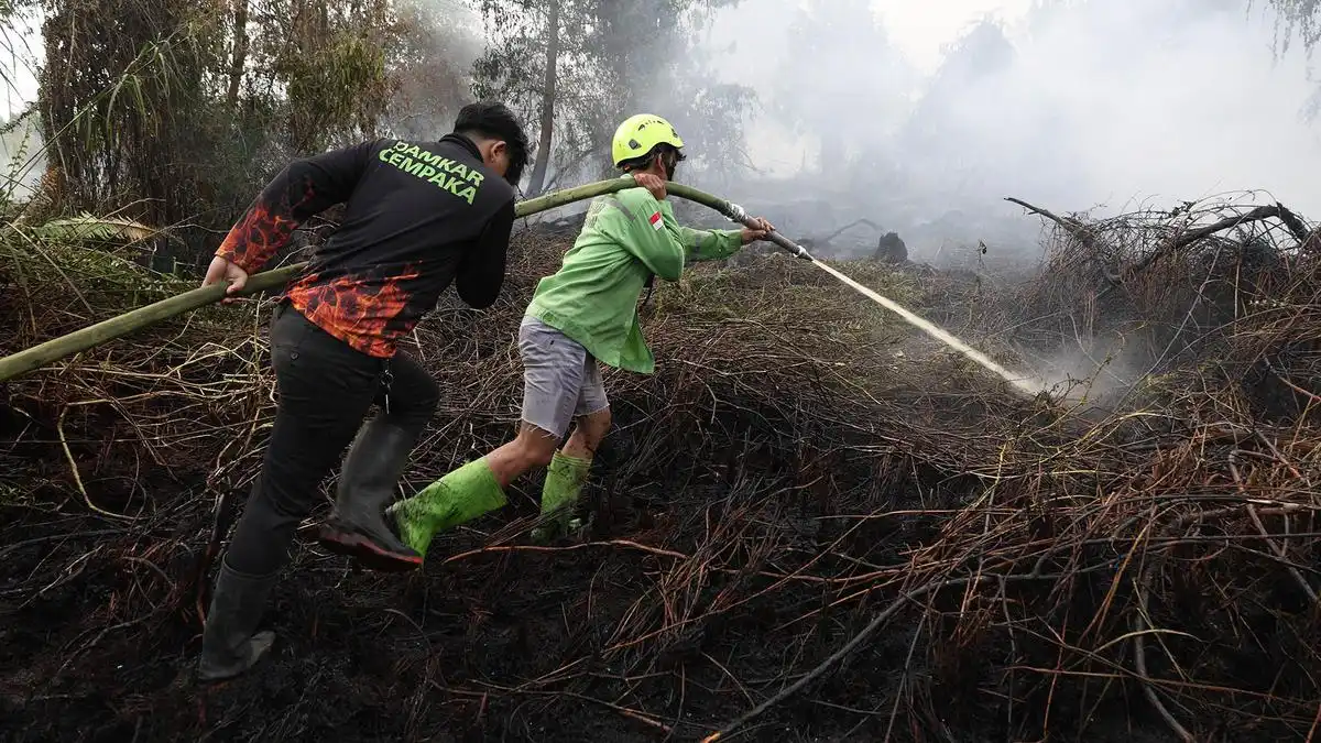 639,23 Hektare Karhutla Masih Terbakar, Tanjung Puting Jadi Titik Terluas