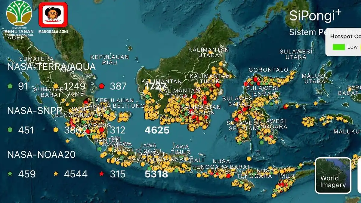 Karhutla Berulang di Tujuh Provinsi, Penanganan 2026 Terkendala Jarak Pandang