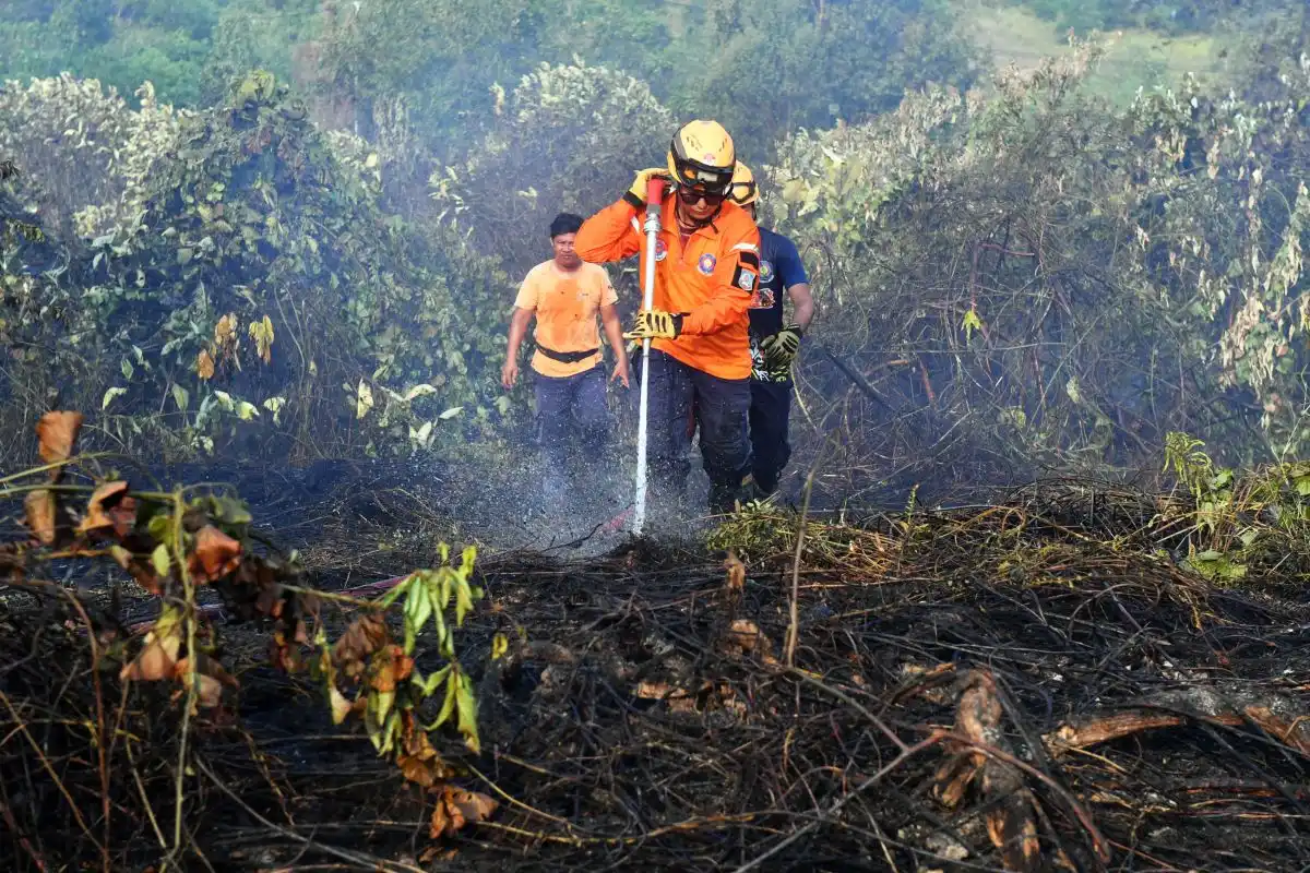 Kabut Asap Memburuk, Sekolah Dasar dan SMP di Balikpapan Beralih ke Pembelajaran Jarak Jauh